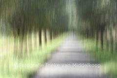 2018_Dordrecht-Holl.-Biesb_wm