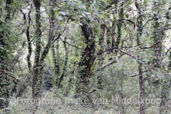 202209_bos-camping-Bretagne_wm