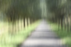 Dorderecht-Holl.-Biesbosch