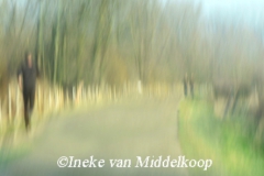 Ooypolder-dijk_wm